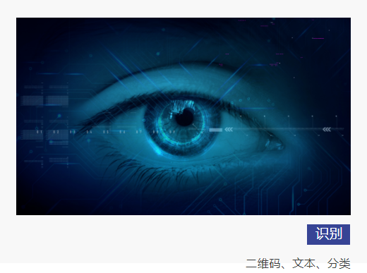 技術拓展商業邊界 博杰AI視覺算法平臺驚艷亮相 技術拓展商業邊界 博杰AI視覺算法平臺驚艷亮相